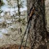 Cascade Mountain Tech Trekking Poles - Carbon Fiber Walking or Hiking Sticks with Quick Adjustable Locks - Image 9