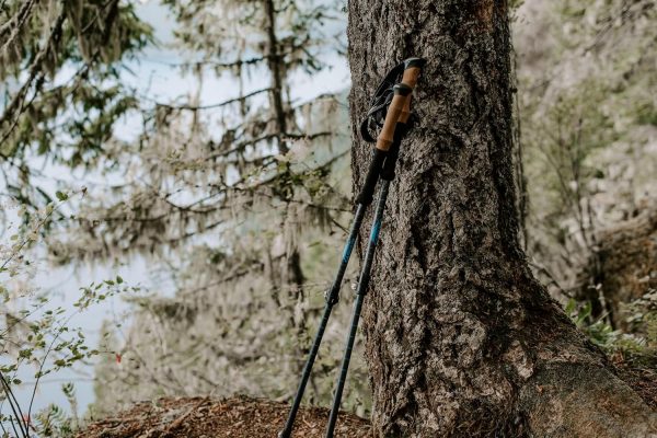 Cascade Mountain Tech Trekking Poles - Carbon Fiber Walking or Hiking Sticks with Quick Adjustable Locks - Image 9